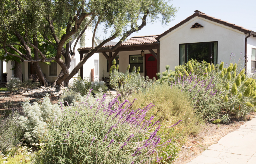 What Water Restrictions Mean for Your Yard - L.A. Landscaping During 2022 Drought in California