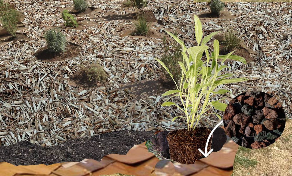 Sheet mulching for drought-tolerant gardens in California...an Ultimate eco-friendly lawn replacement method