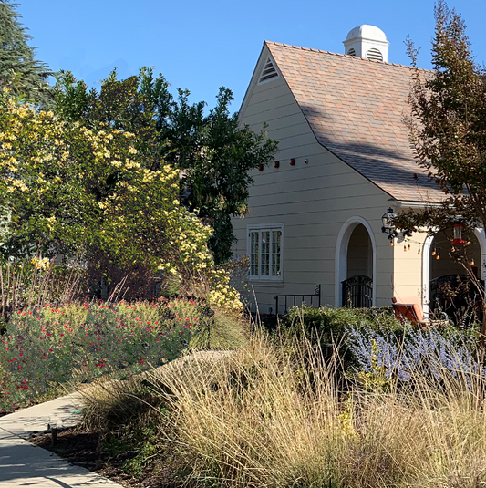Nouveau Ranch | California Entry Garden | 30+ Plants & Planting Plan