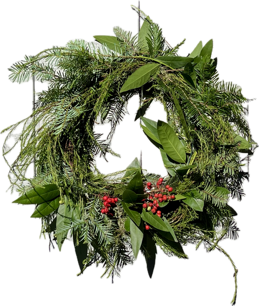 Lil’ Forest Wreath - 16” Live Floral Holiday Decor