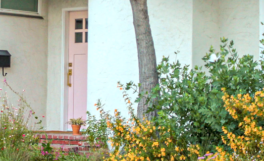 Royal Californian | California Native | 30+ Plants & Basic Layout Plan