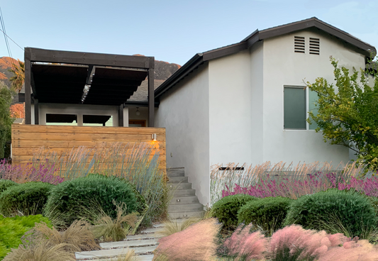 Contemporary Style | Low-Water Landscaping Plant Package