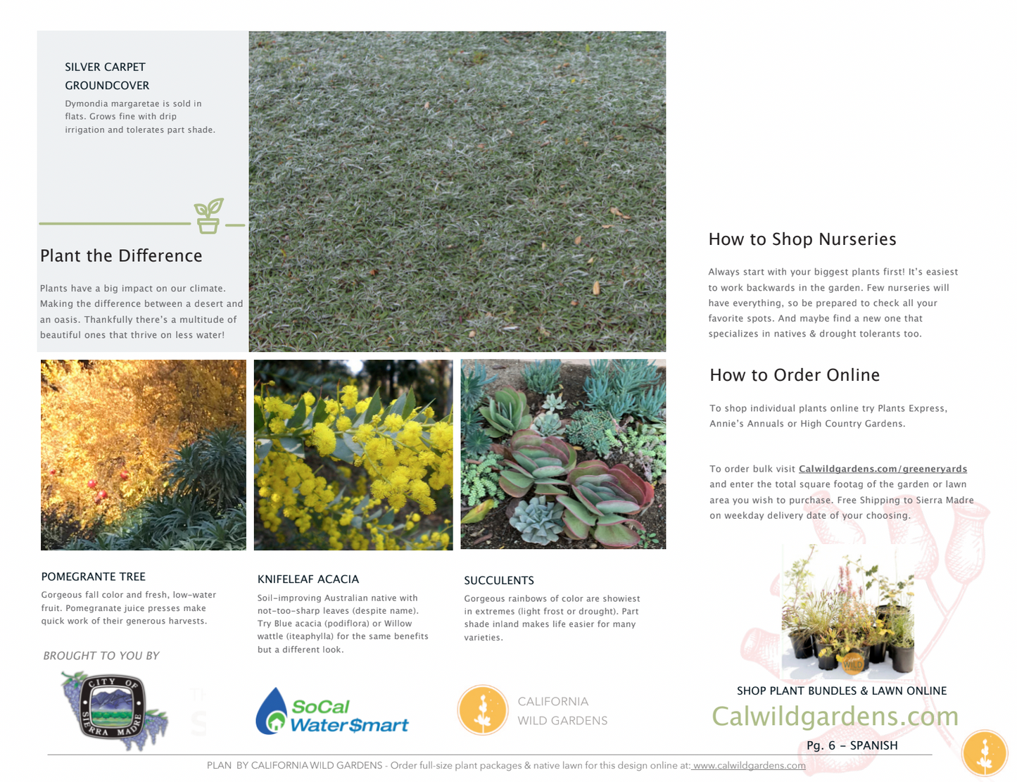 Spanish Style | Low-Water Landscaping Plant Package