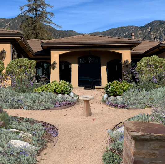 California Mediterranean Style | Landscaping Package | 35+ Low-Water Landscaping Plants w/ Plan