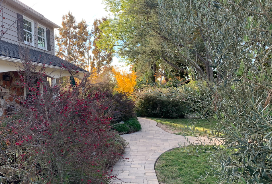 Blushing Beauty | Colorful Part-Shade | 30+ Plants w/ Layout Plan