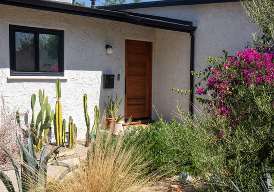 Casita Garden | 30+ Low-Water Plants | Standard Layout Plan Included