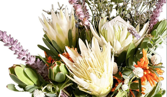 Brie's Bouquet | Low-Water Cut Flower Garden | 20+ Plants w/ Layout Plan