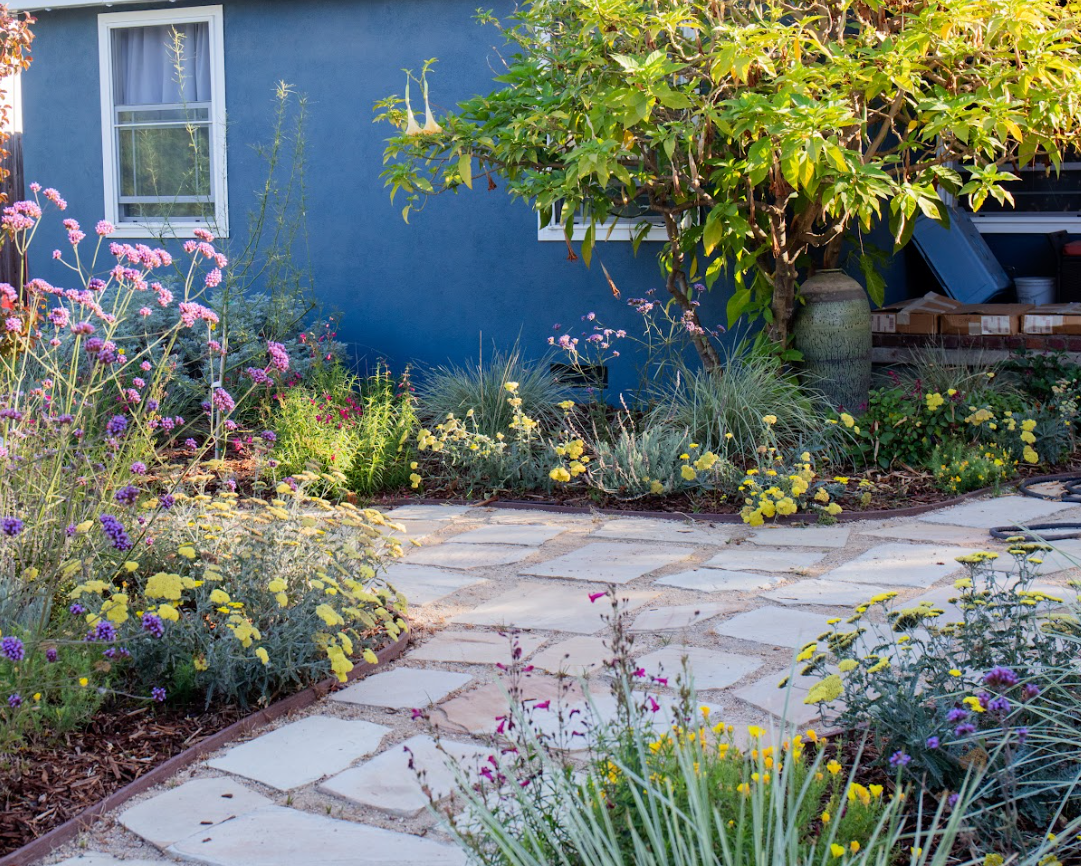 Custom Landscape Design Package