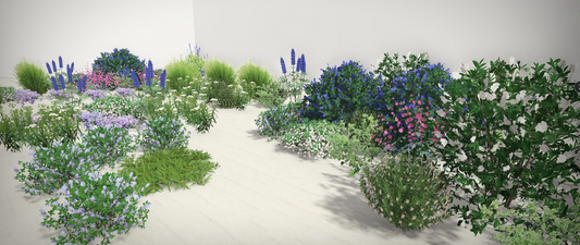 Natural Lilac | California Native / Borderline Xeric | 30+ Plants & Basic Layout Plan