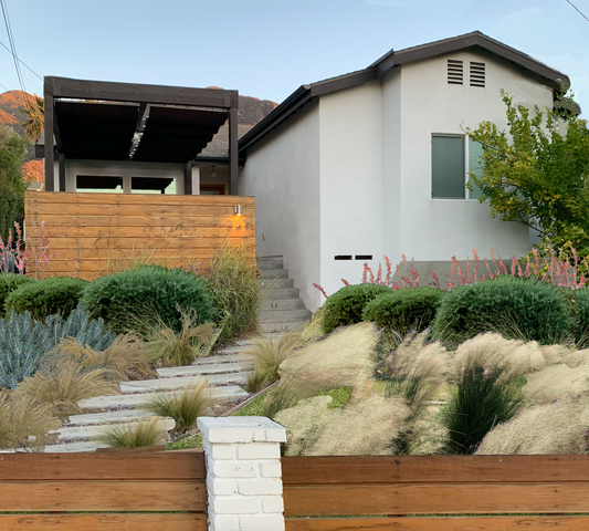 Contemporary Style | Low-Water Landscaping Plant Package