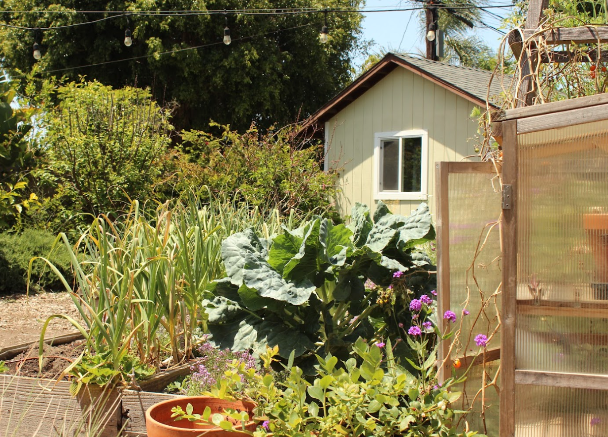Old School Orchard | Farmhouse Preplanned Garden | Fruit Tree & Pollinator Plant Set