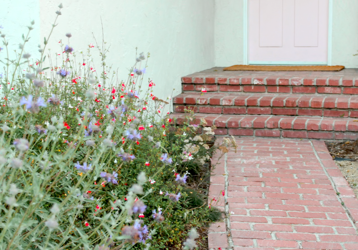 Royal Californian | California Native | 30+ Plants & Basic Layout Plan