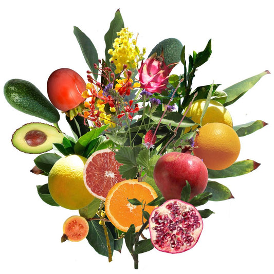 Drought Tolerant Orchard for Los Angeles How to Grow Your Own Food