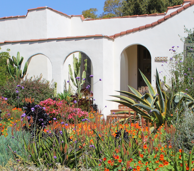 Landscaping plants Southern California