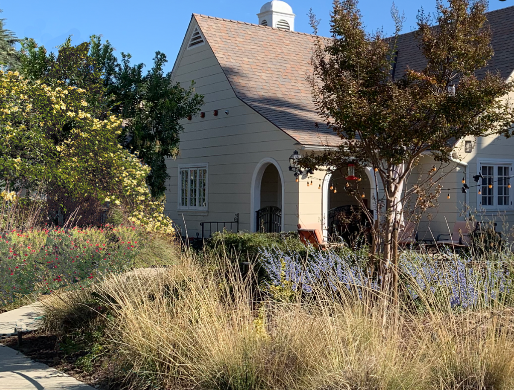 5 Free Waterwise Landscape Designs for your Frontyard - the Sierra Madre Greener Yards Project