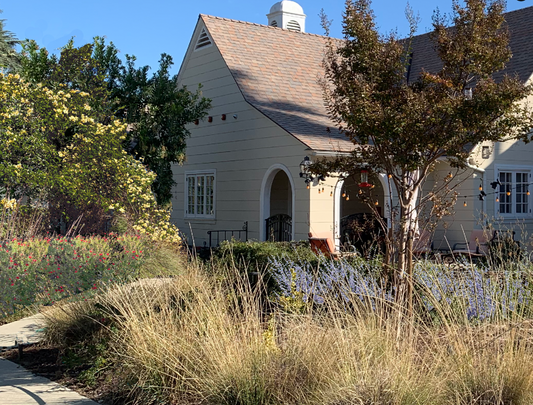 5 Free Waterwise Landscape Designs for your California Front Yard