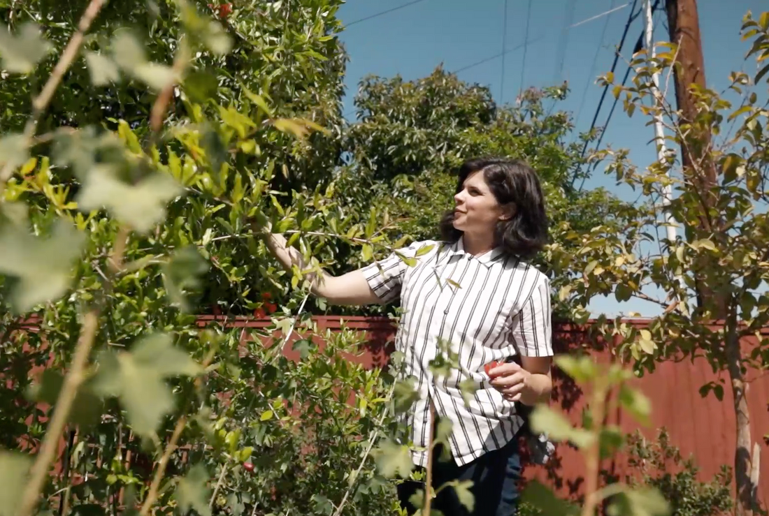 October Events - Garden Talks & Workshops with California Wild Gardens