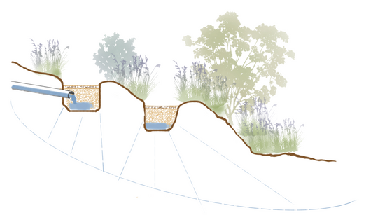 Sustainable Gardening 101 - What a Swale is and Why you need One