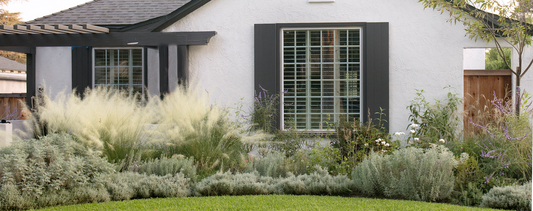 Tuscan Dream Yard in Los Altos - Before and After Easy Garden Update
