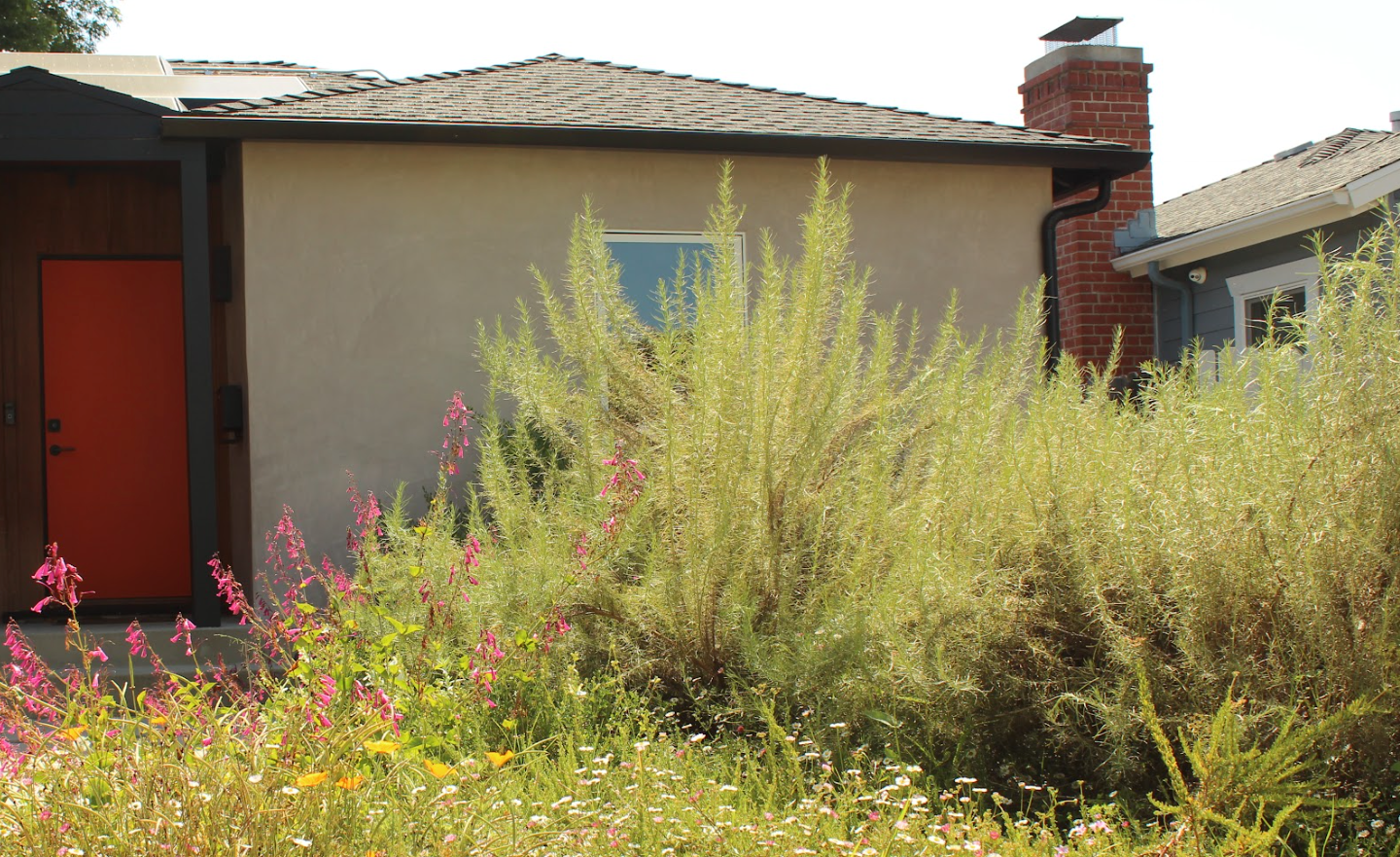 Southern California Native Plant Packages