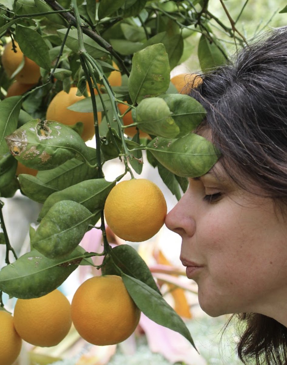 Edible Landscaping