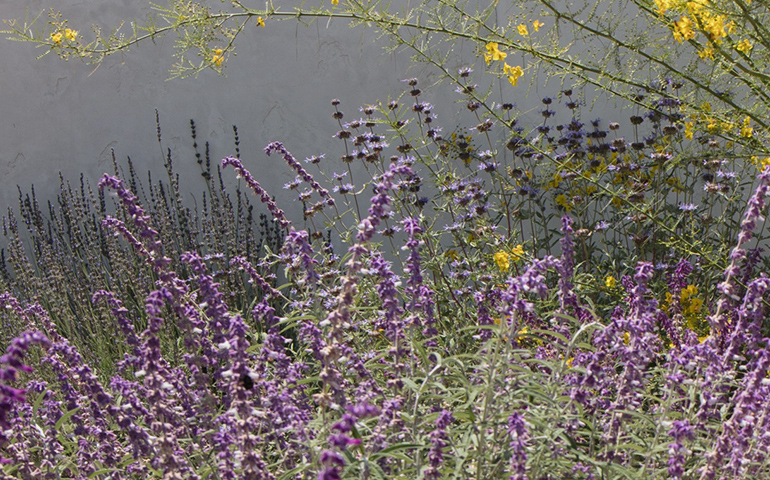 Favorite California Gardens