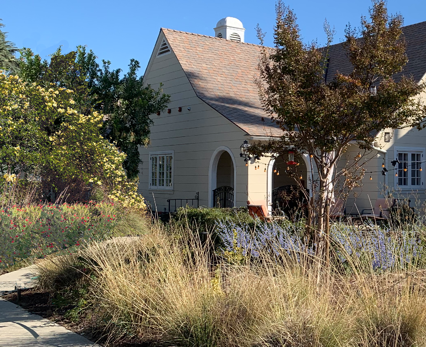plants and shrubs for landscaping a ranch house Ranch Style| Low-Water Landscaping Plant Package – California Wild Gardens