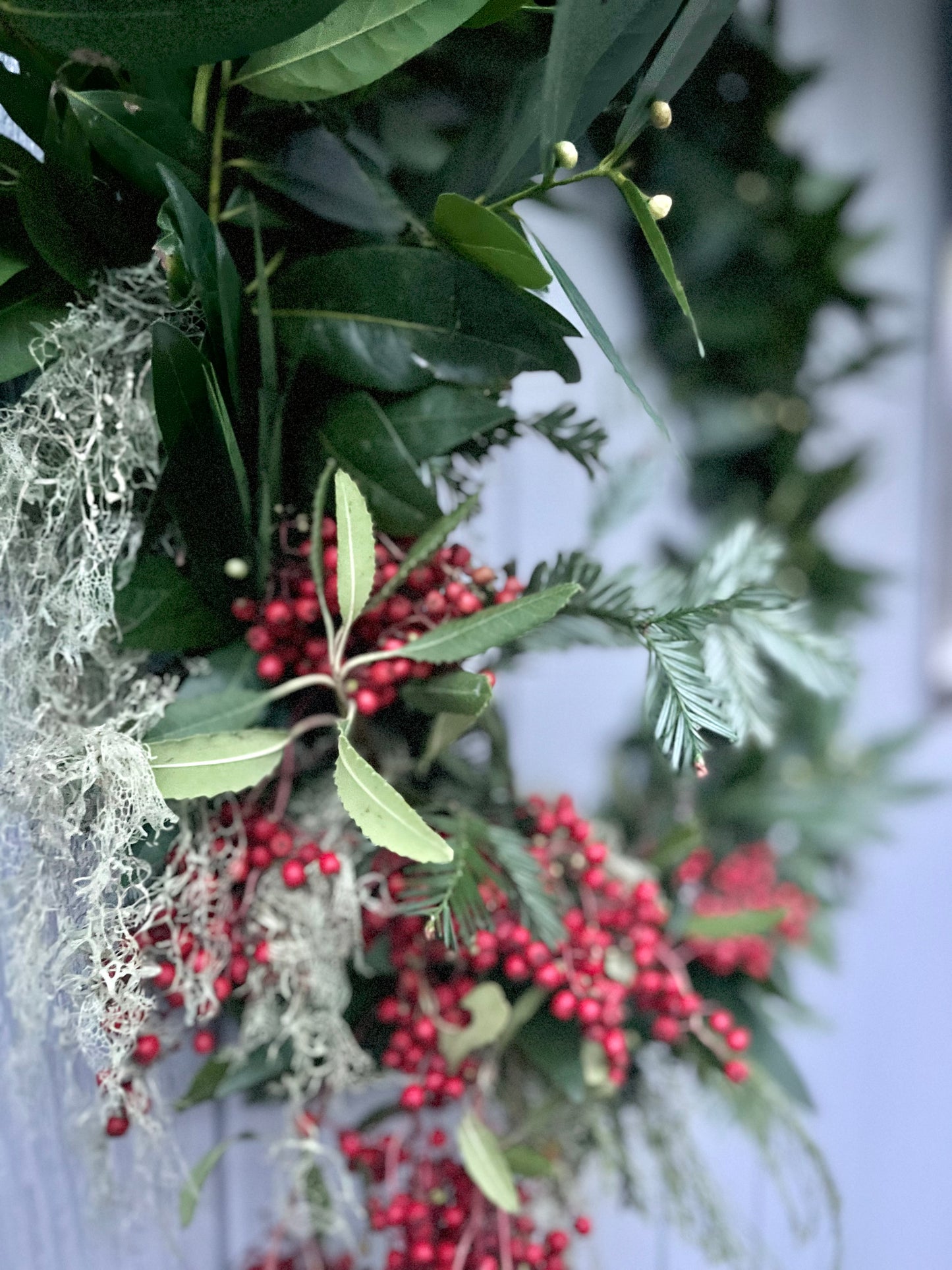 Live California Bay Laurel & Balsam Fir Wreath - 28" Ultra Fragrant Natural Holiday Decor