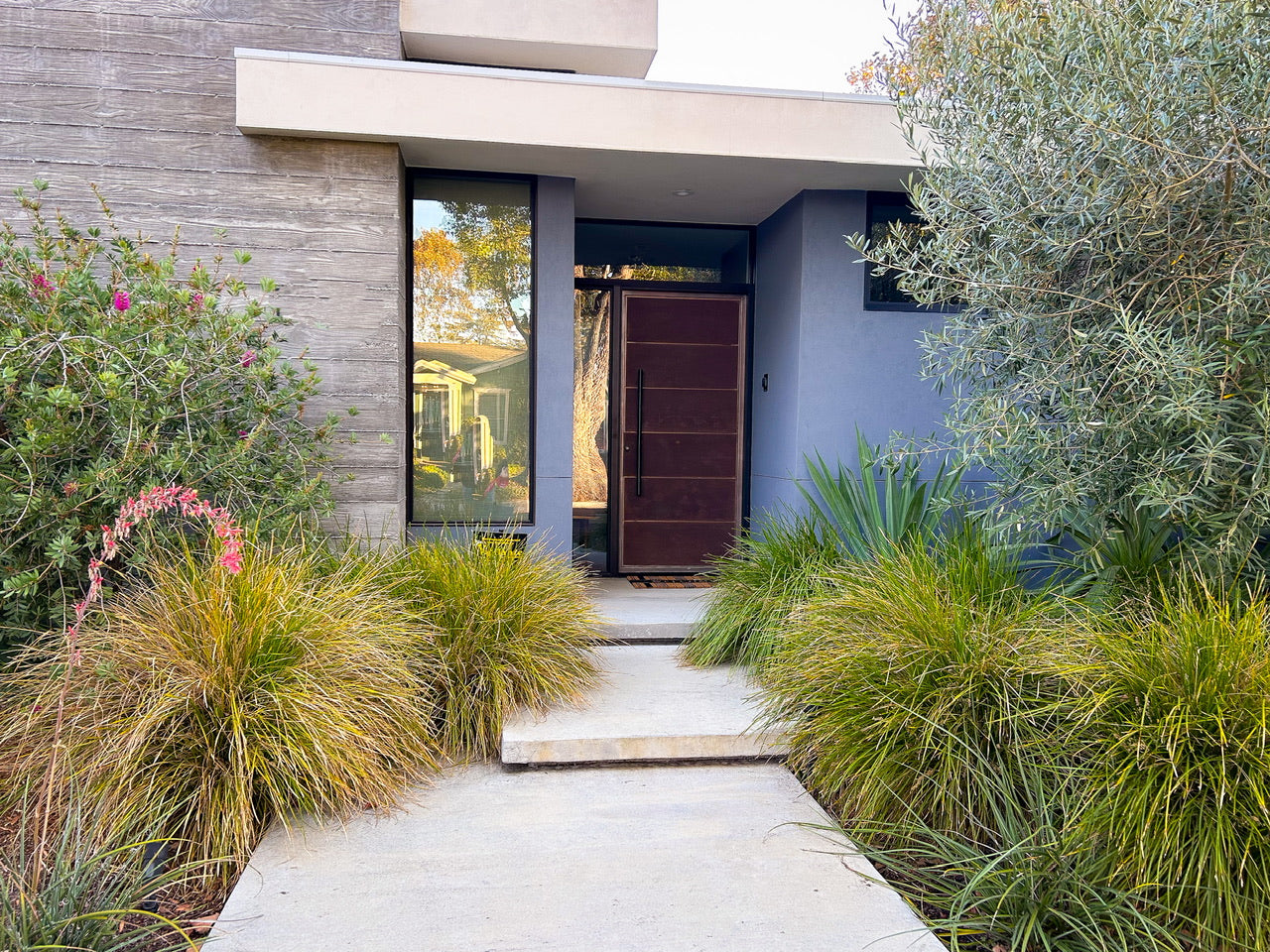 San Jose Native California and Australian Plants modern entry