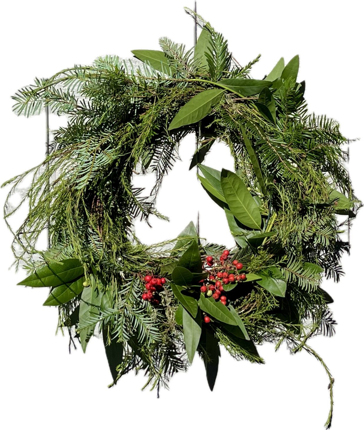 Lil’ Forest Wreath - 16” Live Floral Holiday Decor