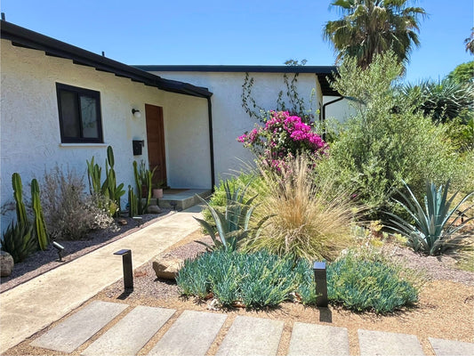 Casita Garden | Borderline Xeric | Curated Plant Set