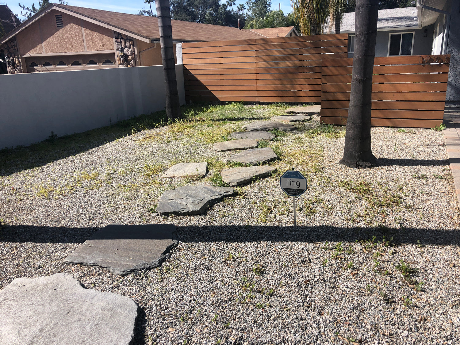 roshin frontyard superbloom garden before