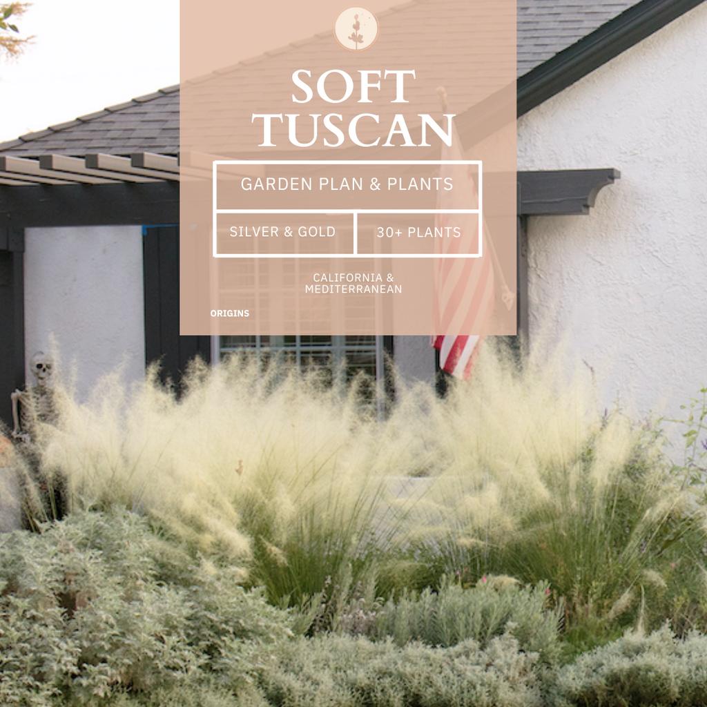 Soft Tuscan Plant Pack