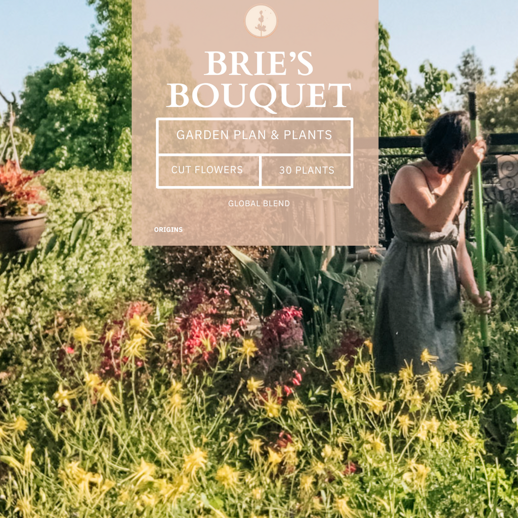 Brie's Bouquet Cut Flower Garden