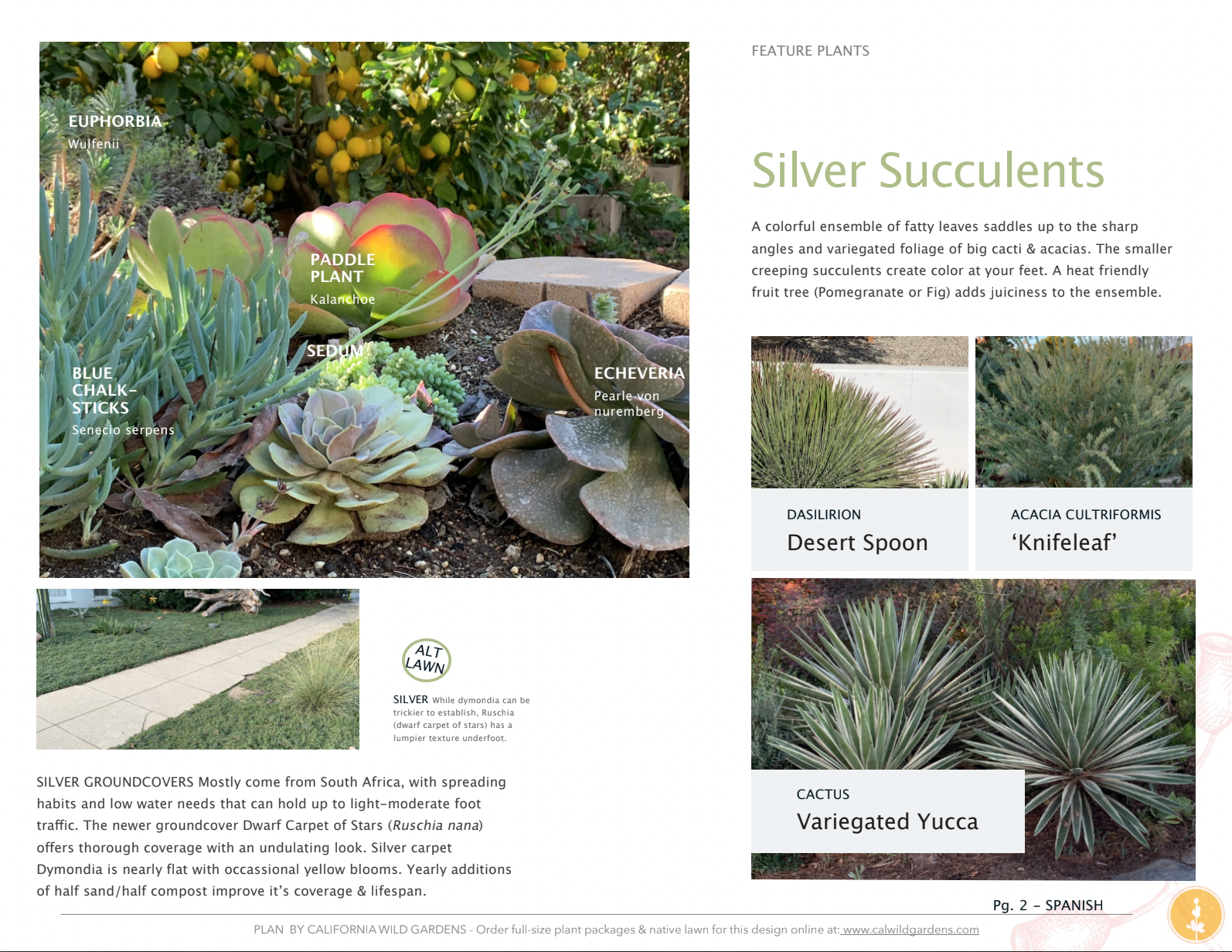 spanish succulent plants Spanish Style