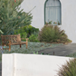 Spanish Style | Low-Water Landscaping Plant Package