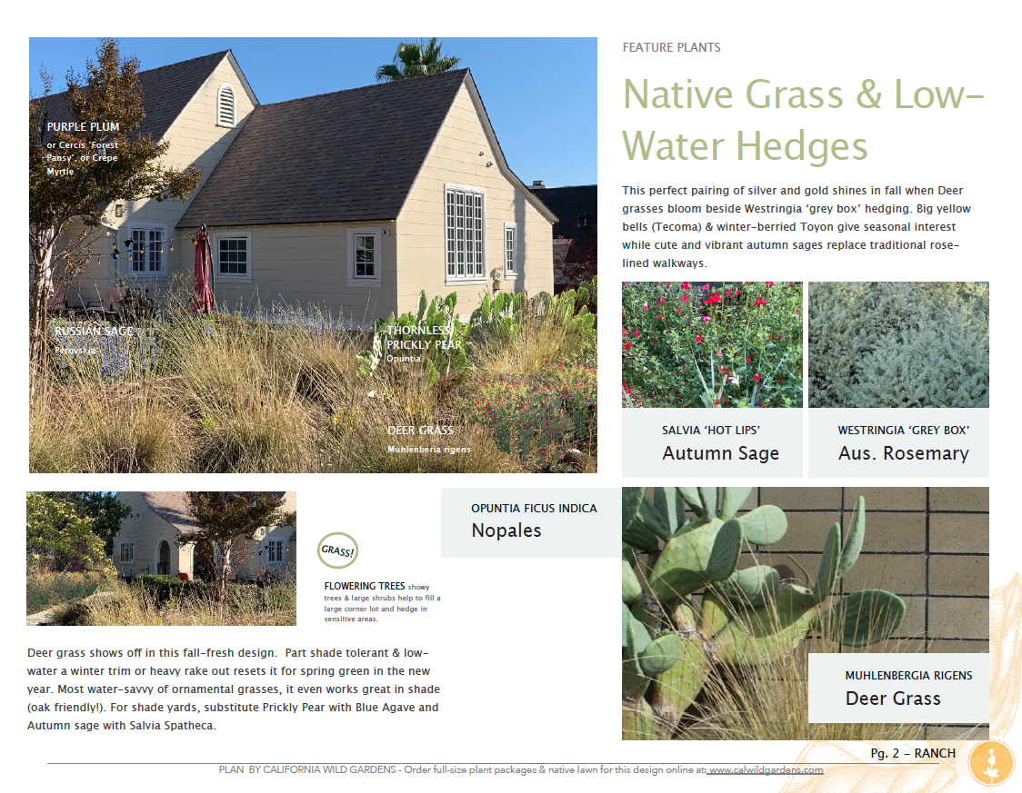 Ranch Style| Low-Water Landscaping Plant Package