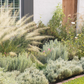 Soft Tuscan | Mediterranean Plant Package & Plan