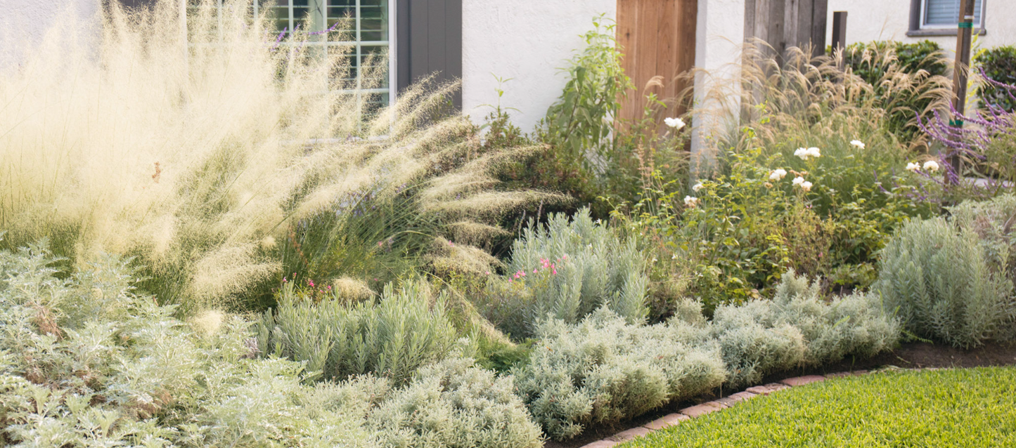 Soft Tuscan | Mediterranean Plant Package & Plan