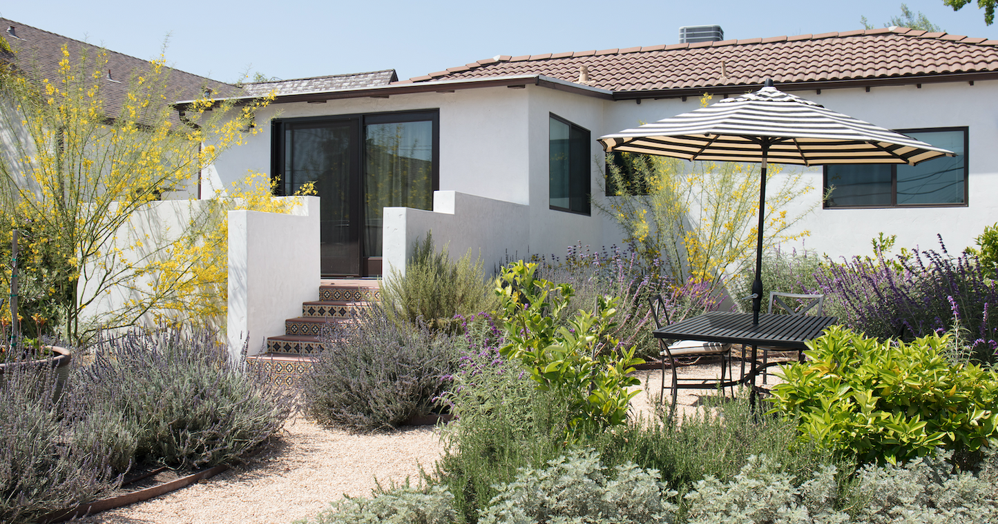 mediterranean house plants Mediterranean Magic | Drought-Tolerant Backyard