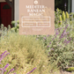 Mediterranean Magic | Low-Water Frontyard | Curated Plant Set