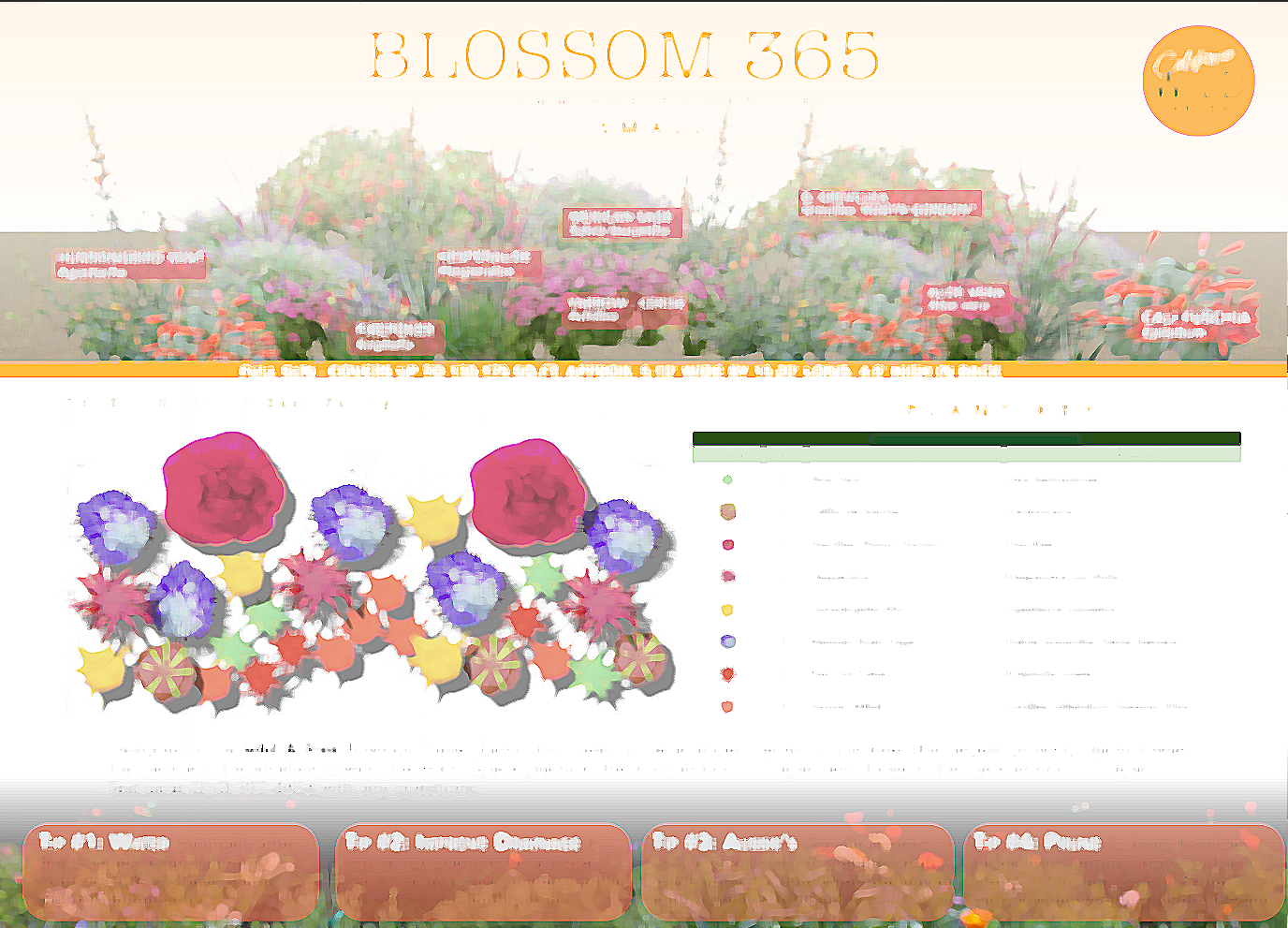 Blossom 365 Hummingbird Garden | Curated Plant Set