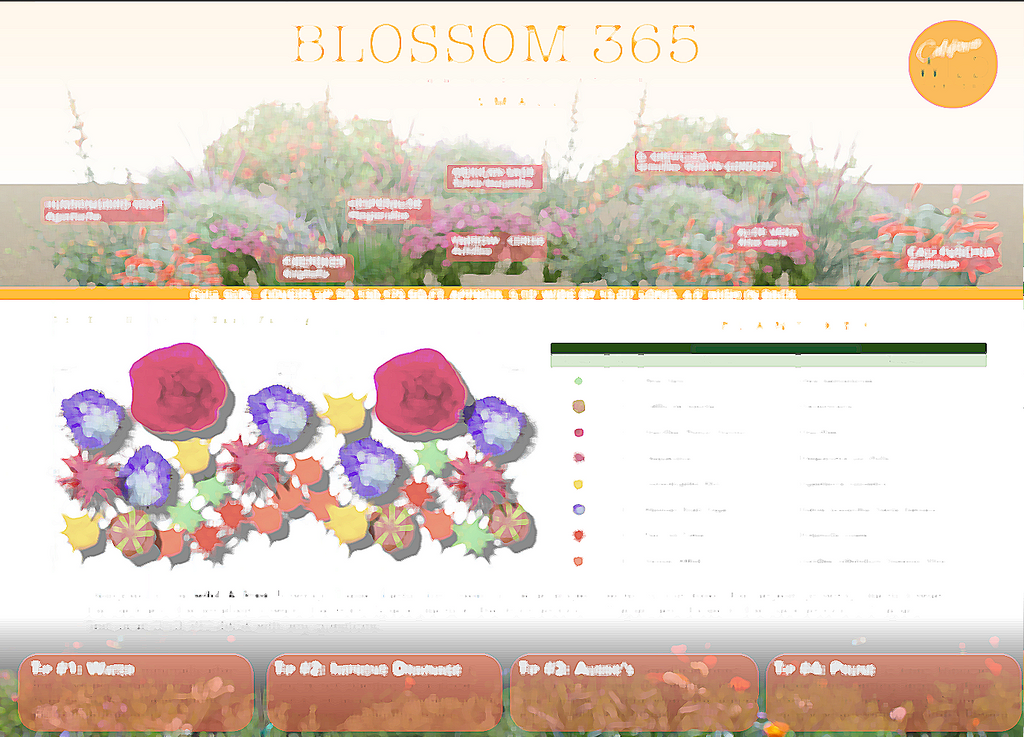 Blossom 365 Hummingbird Garden | Plan & Plants