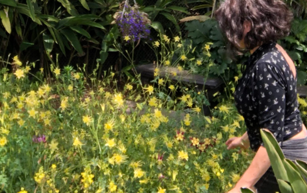 Brie's Bouquet Cut Flower Garden | Plan & Plants