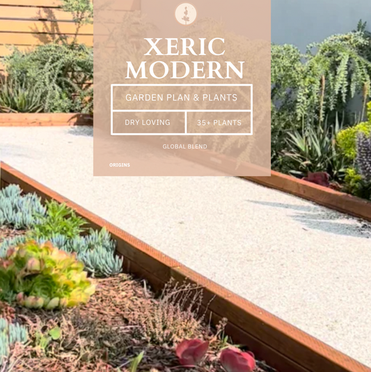 Xeric Modern | Plant Package & Design Plan