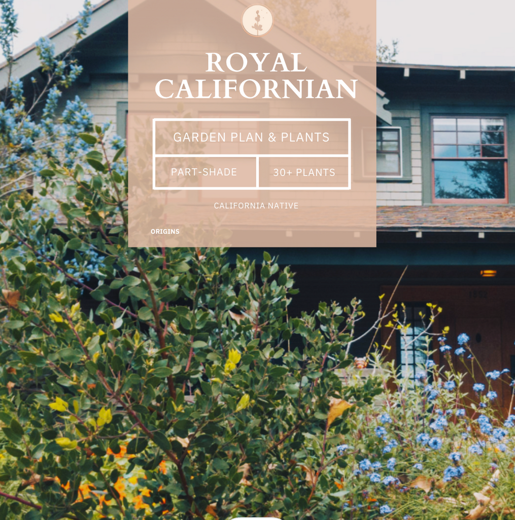 Royal Californian | Native Plant Package & Design Plan