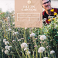 Eaton Canyon | Borderline Xeric | Curated California Native Plant Set