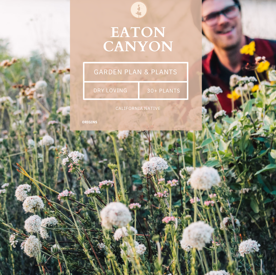 Eaton Canyon | Borderline Xeric | Curated California Native Plant Set