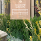 Mellow Maison | Curated Drought-Tolerant Plant Set