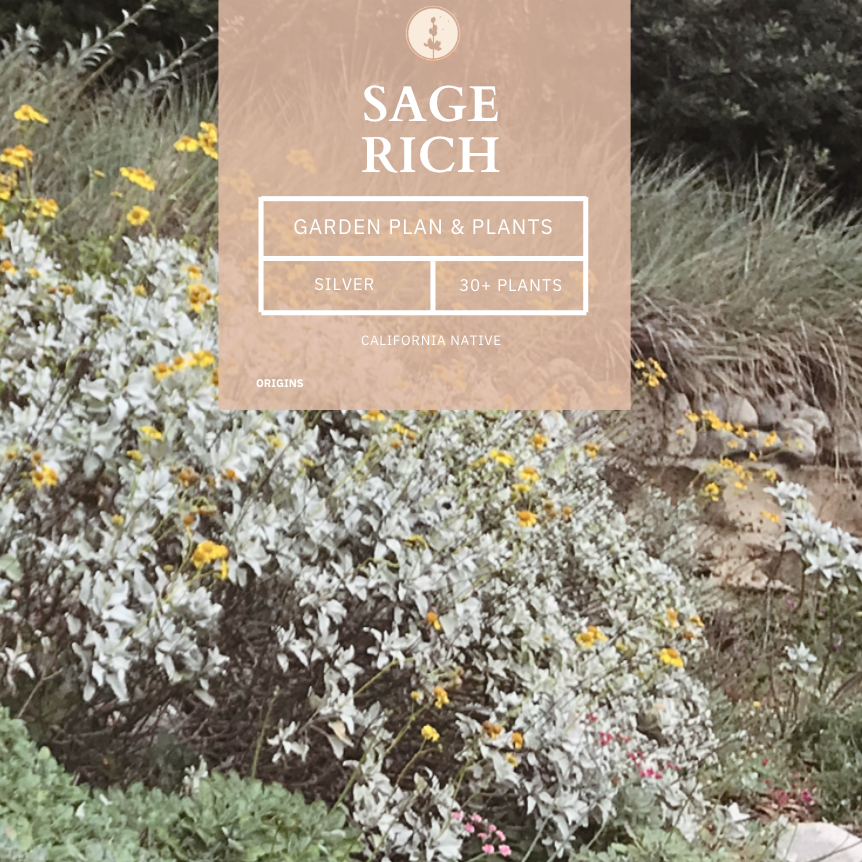 Sage Rich Silver Garden